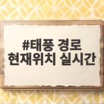 태풍 경로 현재위치 실시간 이렇게만 확인하면 안심입니다 태풍 경로 현재위치 실시간