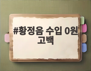 황정음 수입 0원 고백