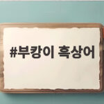 부캉이 흑상어 3차 유도는 성공할까 부캉이 흑상어