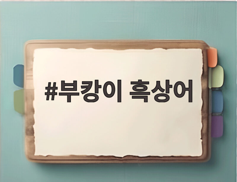 부캉이 흑상어 3차 유도는 성공할까 1 부캉이 흑상어