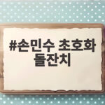 손민수 초호화 돌잔치 화려함 속에 담긴 진짜 이야기 손민수 초호화 돌잔치