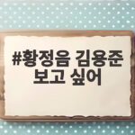 황정음 김용준 보고 싶어 고백 팬들에게 전한 마음 황정음 김용준 보고 싶어