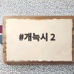 개늑시 2