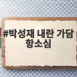 박성재 내란 가담 항소심 징역 25년에서 9년으로 줄어든 이유 박성재 내란 가담 항소심