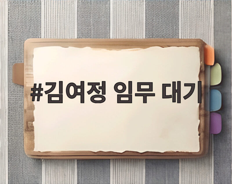 김여정 임무 대기 선언 국경선 긴장 상황 총정리 1 김여정 임무 대기