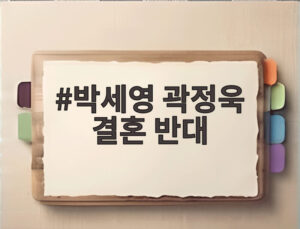 박세영 곽정욱 결혼 반대