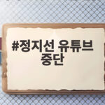 정지선 유튜브 중단 소식에 팬들 궁금증 커진 이유는 정지선 유튜브 중단