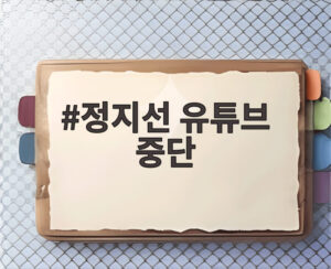 정지선 유튜브 중단