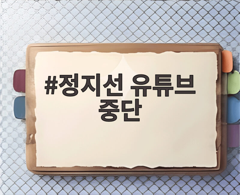 정지선 유튜브 중단 소식에 팬들 궁금증 커진 이유는 1 정지선 유튜브 중단