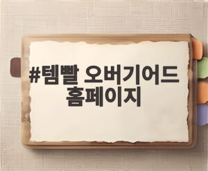 템빨 오버기어드 홈페이지