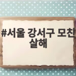 서울 강서구 모친 살해