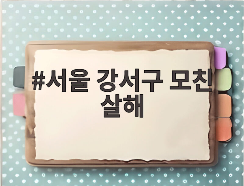 서울 강서구 모친 살해 사건으로 본 존속범죄의 심각성과 경찰 대응 1 서울 강서구 모친 살해