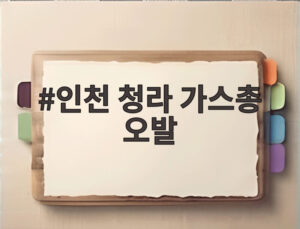 인천 청라 가스총 오발