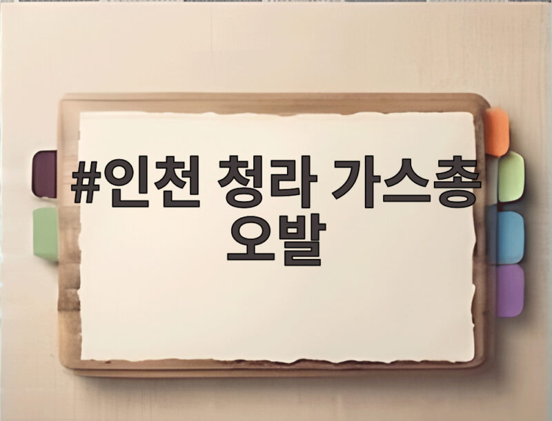 인천 청라 가스총 오발 사고 6명 부상 원인은 1 인천 청라 가스총 오발