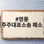영풍 주주대표소송 패소 고려아연 자사주 매입 판결 핵심 정리 영풍 주주대표소송 패소