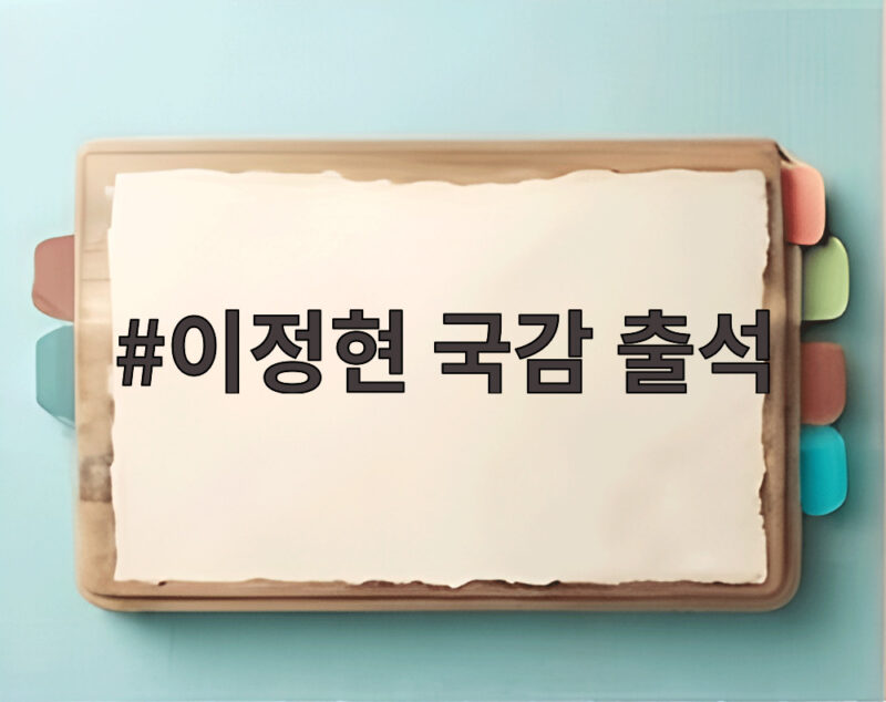 이정현 국감 출석