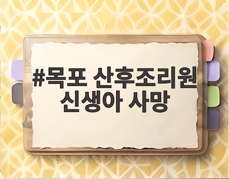 목포 산후조리원 신생아 사망 사건 경찰 수사 어떻게 진행되나 1 목포 산후조리원 신생아 사망