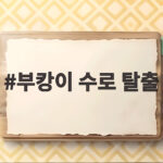 부캉이 수로 탈출