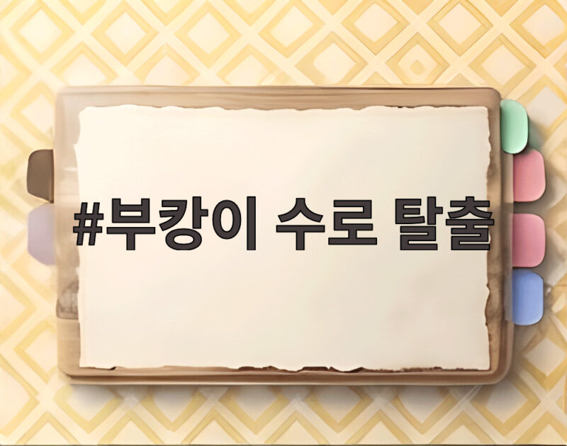 부캉이 수로 탈출 반복되는 이유와 구조 작업 상황 1 부캉이 수로 탈출
