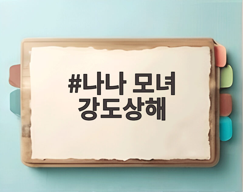 나나 모녀 강도상해 판결 30대 남성 항소심에서도 징역 7년을 받은 이유 1 나나 모녀 강도상해