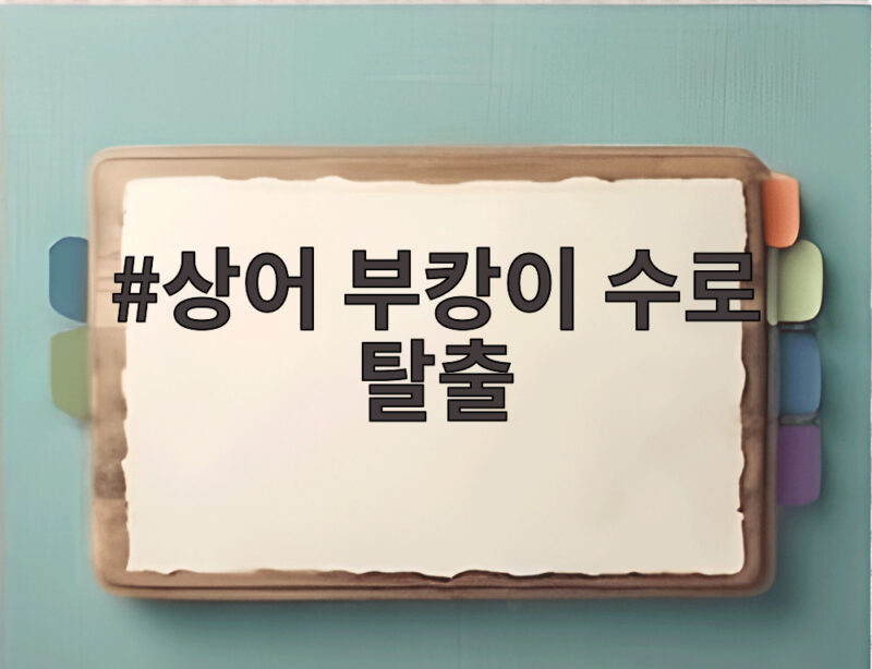 상어 부캉이 수로 탈출