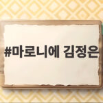 마로니에 김정은 20년 만에 파경 합의이혼하고 새 앨범 준비중 마로니에 김정은