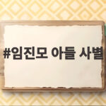 임진모 아들 사별 그 후 5년 나비넥타이에 담긴 아버지의 마음 임진모 아들 사별