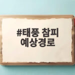 태풍 참피 예상경로 급변한 진로와 주말 제주 영향 총정리 태풍 참피 예상경로