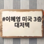 이혜영 미국 3층 대저택 3년 만에 공개한 이유는 이혜영 미국 3층 대저택
