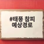태풍 참피 예상경로 급변 한반도 영향은 어떻게 될까 태풍 참피 예상경로