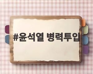 윤석열 병력투입
