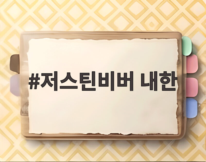 저스틴비버 내한 깜짝 서울 도착 아내와 함께 온 이유가 궁금하다 1 저스틴비버 내한
