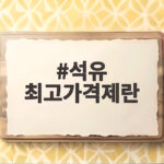 석유 최고가격제란 무엇이고 왜 도입됐을까 궁금증 석유 최고가격제란