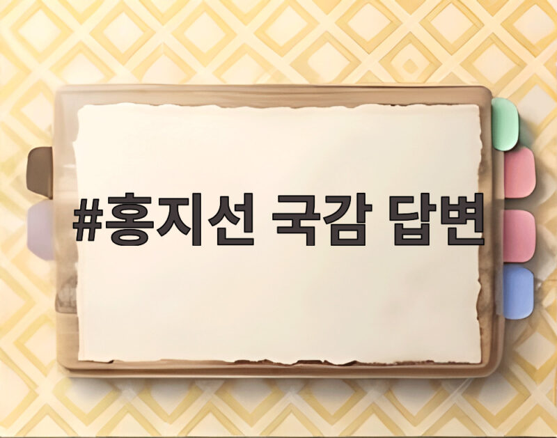 홍지선 국감 답변 해외직구 부품과 주택특공 제도 개선 1 홍지선 국감 답변