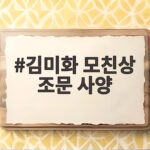 김미화 모친상 조문 사양 가족장 선택한 이유와 전해진 부고 김미화 모친상 조문 사양