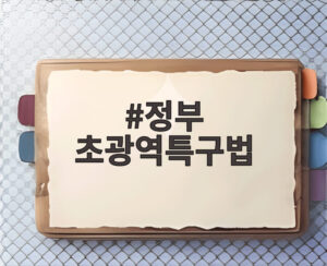 정부 초광역특구법