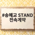 송혜교 STAND 전속계약 소식 신생 기획사와 새출발한다 송혜교 STAND 전속계약