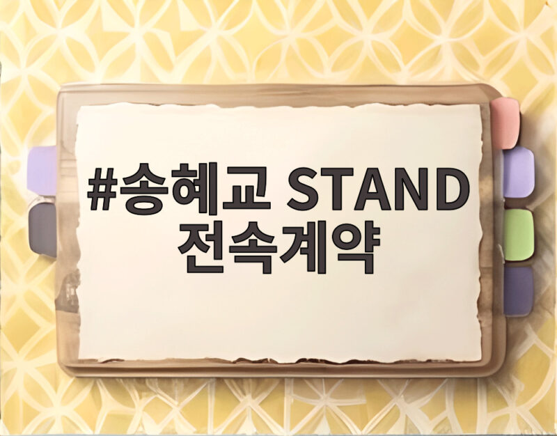 송혜교 STAND 전속계약 소식 신생 기획사와 새출발한다 1 송혜교 STAND 전속계약