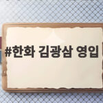 한화 김광삼 영입으로 류지현호 투수진 재편 기대감 한화 김광삼 영입