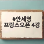 안세영 프랑스오픈 4강