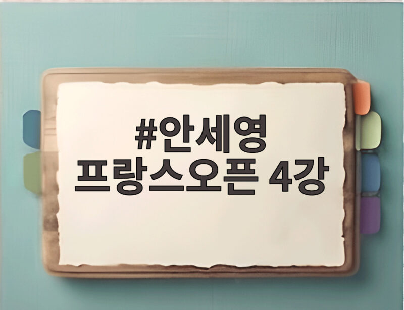 안세영 프랑스오픈 4강 진출, 대회 3연패 보인다 1 안세영 프랑스오픈 4강