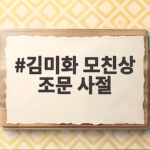 김미화 모친상 조문 사절 조용히 보낸 마지막 길 김미화 모친상 조문 사절