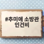 추미애 소방관 인건비 국가가 전액 부담해야 하는 이유와 경기도 현실 추미애 소방관 인건비
