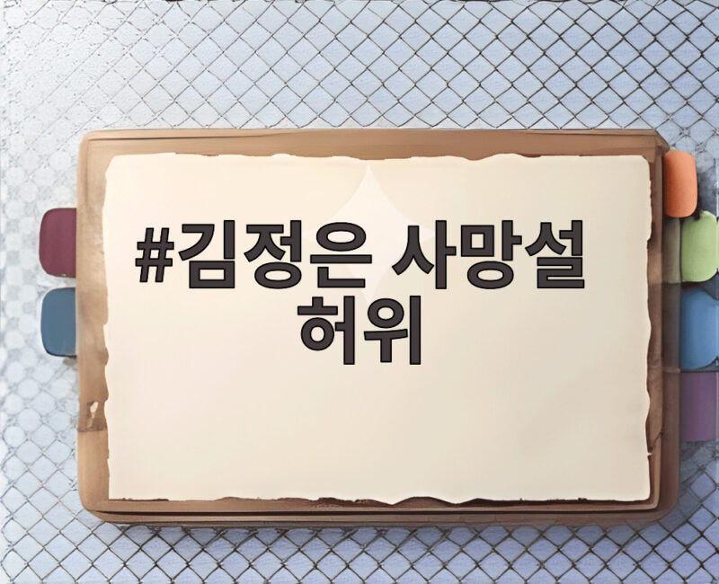 김정은 사망설 허위 국정원 보고 내용 자세히 알아보기 1 김정은 사망설 허위