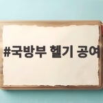국방부 헬기 공여 케냐 퇴역 500MD가 새 임무를 시작한 이유 국방부 헬기 공여