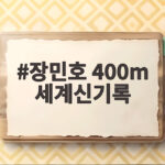 장민호 400m 세계신기록 46초24 아시안패러게임 2관왕 이야기 장민호 400m 세계신기록