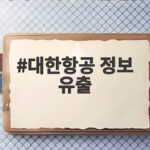 대한항공 정보 유출 예약번호 노출 사고 자세히 알아보기 대한항공 정보 유출