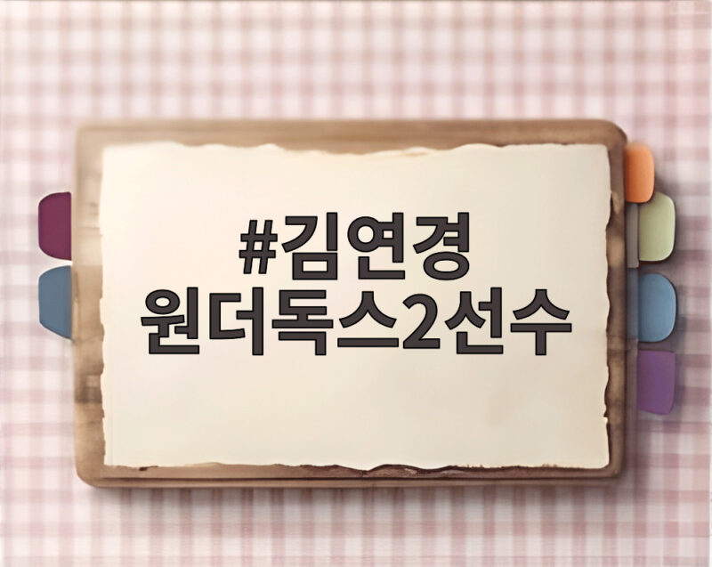 김연경 원더독스2선수