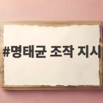 명태균 조작 지시
