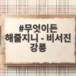 무엇이든 해줄지니 비서진 강릉 이서진 전 여친 데이트 의심받은 이유 무엇이든 해줄지니 - 비서진 강릉